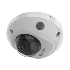Platinum 4 MP Smart Fixed Mini Dome IP Camera